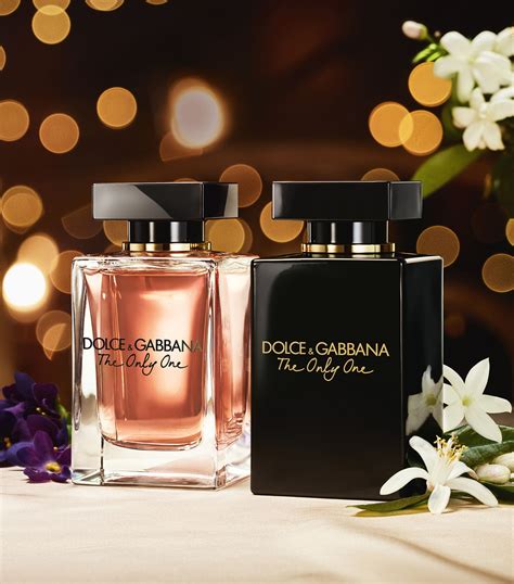 the only one dolce gabbana fragrantica.